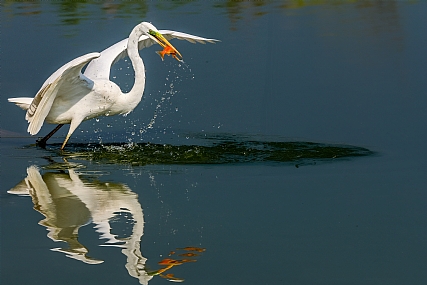 Photo by: yariv alaluf